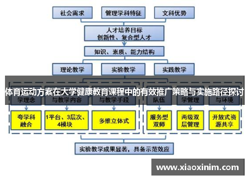 体育运动方案在大学健康教育课程中的有效推广策略与实施路径探讨