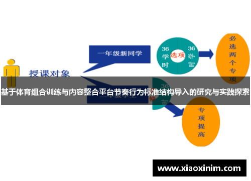 基于体育组合训练与内容整合平台节奏行为标准结构导入的研究与实践探索