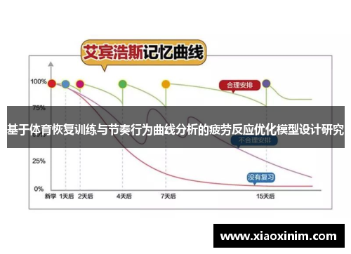 基于体育恢复训练与节奏行为曲线分析的疲劳反应优化模型设计研究