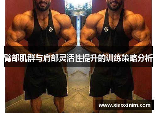 臂部肌群与肩部灵活性提升的训练策略分析