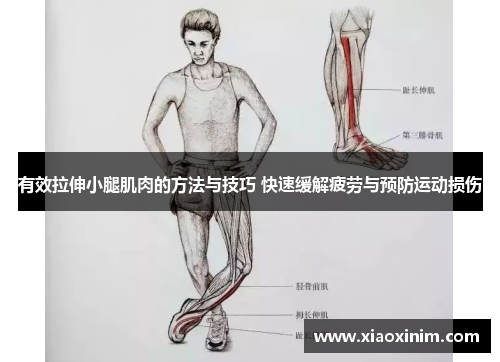 有效拉伸小腿肌肉的方法与技巧 快速缓解疲劳与预防运动损伤
